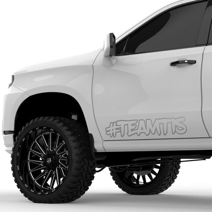 TEAMTIS Outline 32" Decal (Set of 2)
