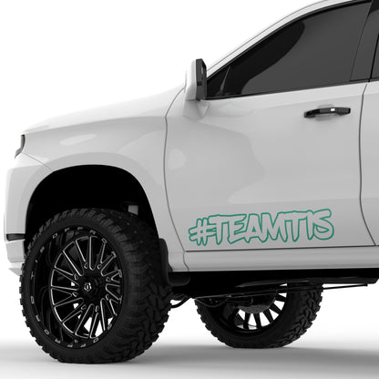 TEAMTIS Outline 32" Decal (Set of 2)
